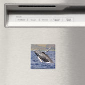 Humpback Whale Splashing Magnet (In Situ (Geschirrspüler))