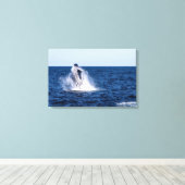 Humpback Whale Stretched Canvas Print Leinwanddruck (Insitu (Holzboden))