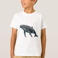 Humpback Whale