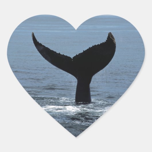 Humpback whale tail Herz-Aufkleber (Vorderseite)