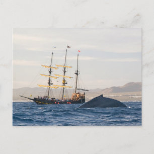 Humpback Whale und Ship Postkarte
