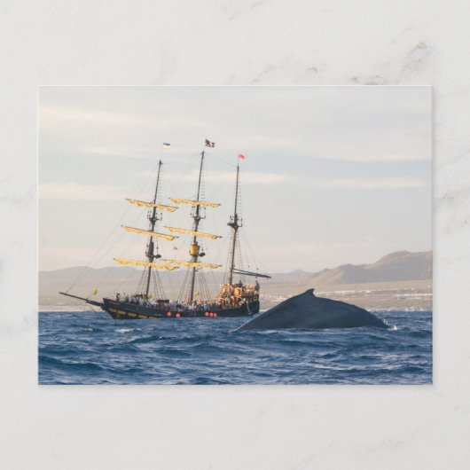 Humpback Whale und Ship Postkarte (Vorderseite)