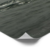Humpback Whale und Tall Ship Print Poster (Ecke)