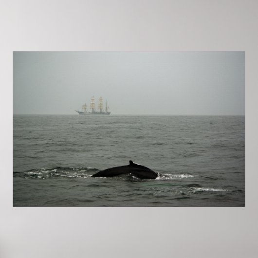 Humpback Whale und Tall Ship Print Poster (Vorne)