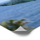 Humpback Whale Weather Vane Poster (Ecke)