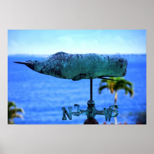 Humpback Whale Weather Vane Poster (Vorne)