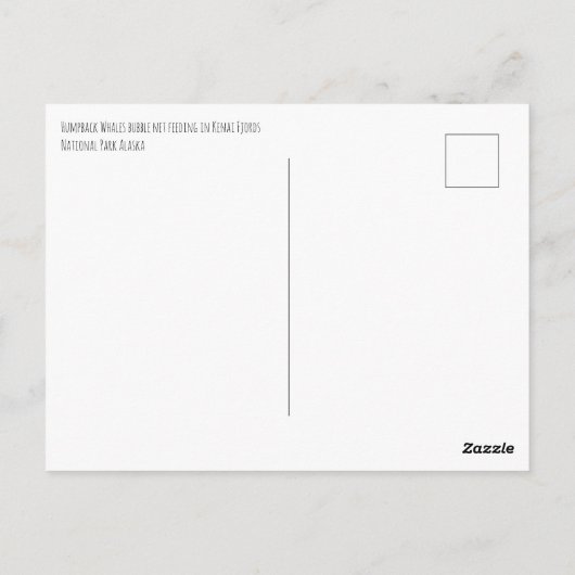 Humpback Whales Bubble Netting Alaska Postkarte (Rückseite)