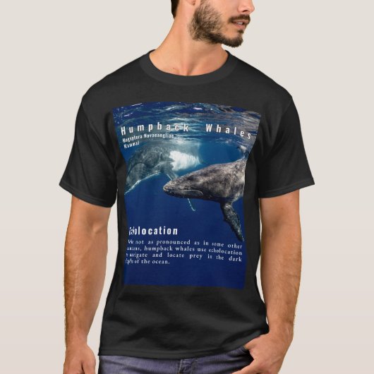 Humpback Whales Echolocation Whale Fun Fakt T-Shirt (Vorderseite)