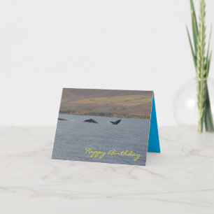 Humpback Whales Geburtstagskarte Dankeskarte
