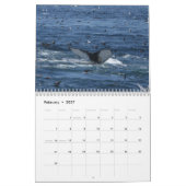 Humpback Whales Kalender 2014 (Feb 2027)