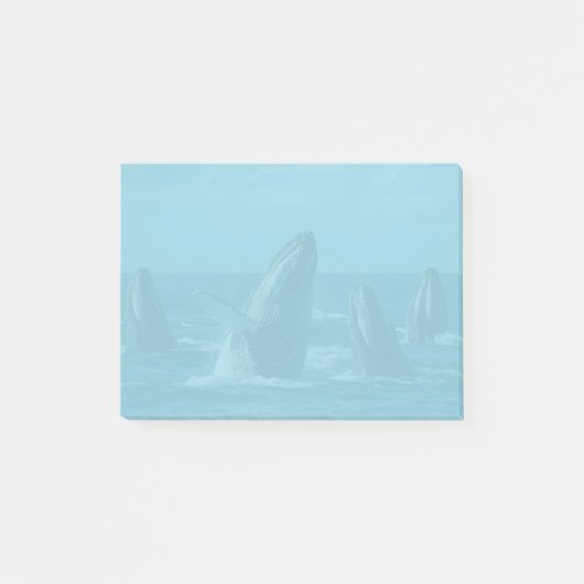 Humpback Whales Post-it Klebezettel (Vorderseite)