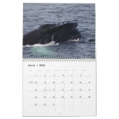 Humpback Whales von Stellwagen Bank Kalender (Mär 2026)