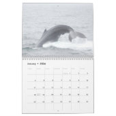 Humpback Whales von Stellwagen Bank Kalender (Jan 2026)