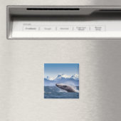 Humpbackwal in Alaska Magnet (In Situ (Geschirrspüler))