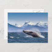 Humpbackwal in Alaska Postkarte (Vorne/Hinten)