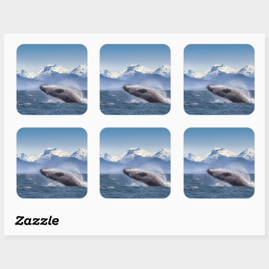 Humpbackwal in Alaska Quadratischer Aufkleber (Blatt)