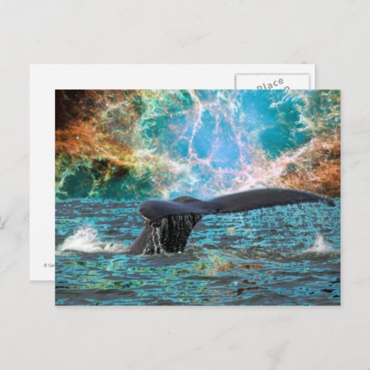 Humpbackwal und Supernova Postkarte (Vorne/Hinten)