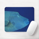 Humphead Wrasse 2 Mousepad (Mit Mouse)