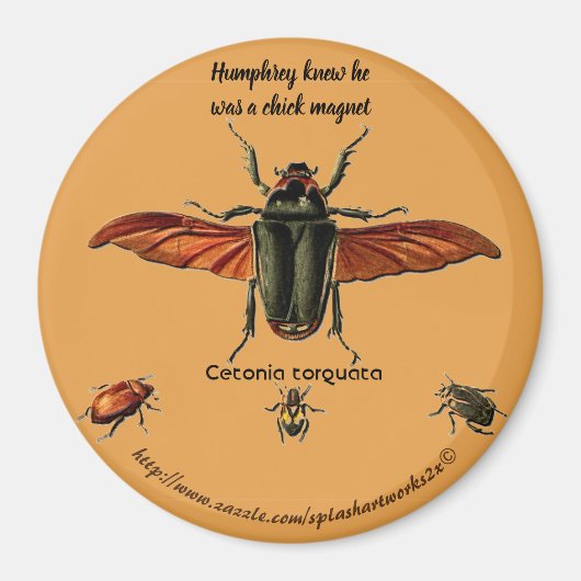 "Humphrey wusste, dass er ein Küken-Magnet war. Magnet (Vorne)