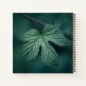 Humulus Nature Foto Notizblock (Rückseite)