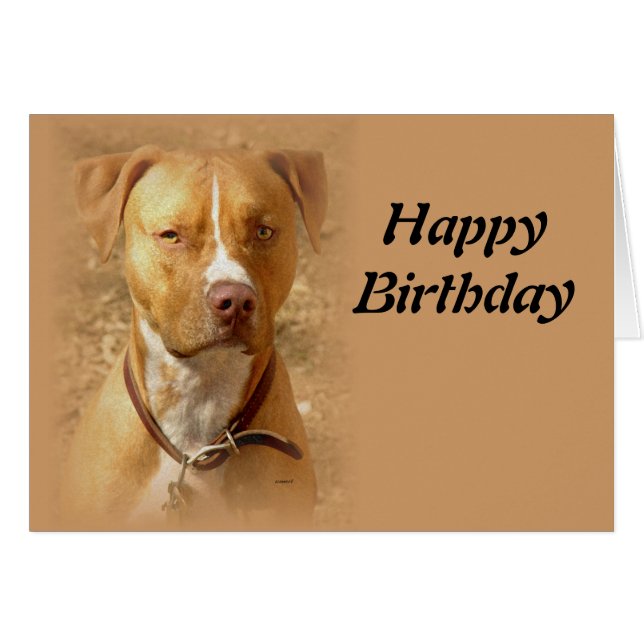 Hund (Vorderseite (Horizontal))