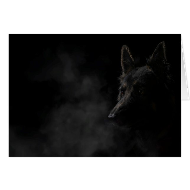 Hund (Vorderseite (Horizontal))