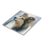 Hund122 Sheltie Collie Fliese (Seite)