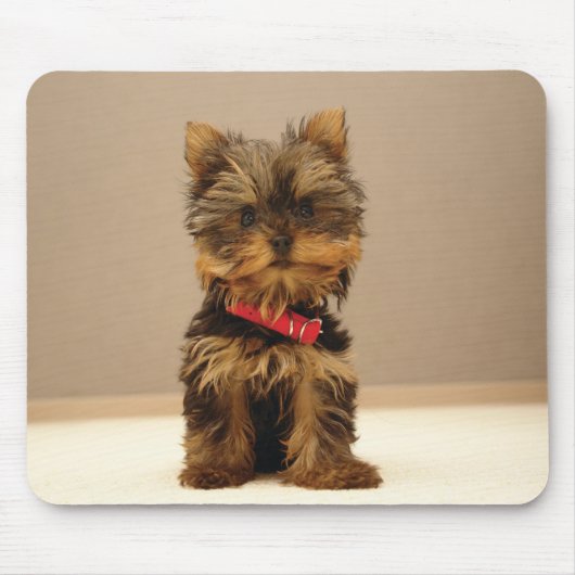 Hund1 Mousepad (Vorne)