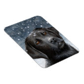 Hund 100 schwarzer Labrador-Foto-Magnet Magnet (Rechte Seite)