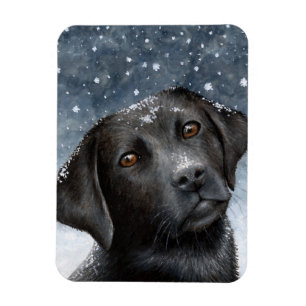 Hund 100 schwarzer Labrador-Foto-Magnet Magnet