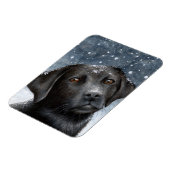 Hund 100 schwarzer Labrador-Foto-Magnet Magnet (Linke Seite)