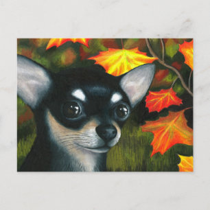 Hund 101 schwarz Chihuahua Postkarte