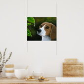 Hund 116 Beagle Poster (Küche)