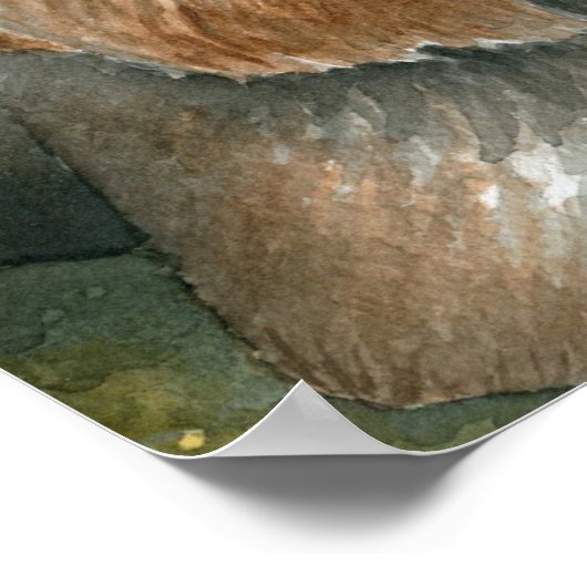 Hund 117 Yorkshire Poster (Ecke)