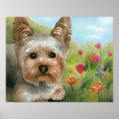 Hund 117 Yorkshire Poster (Vorne)