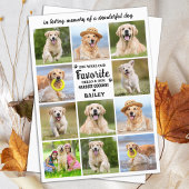 Hund 11 Foto Collage Modernes Beileid Pet Memorial Dankeskarte