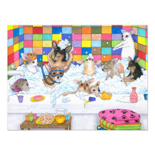 Hund 121 Funny Chihuahua im Bad Fotodruck (Vorne)