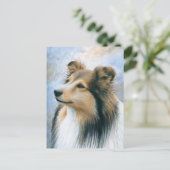 Hund 122 Sheltie Collie Postkarte (Stehend Vorderseite)