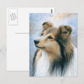 Hund 122 Sheltie Collie Postkarte (Vorne/Hinten)