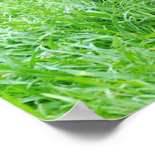 Hund-280332 JUNGE HUNDE SCHWARZE PUPPY ADORABLE PE Poster (Ecke)