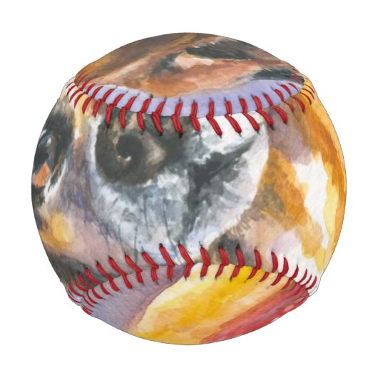 Hund 2 baseball (Vorderseite)