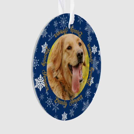 Hund 2 Foto Blue Snowflake Custom Weihnachten Ornament (Vorderseite)
