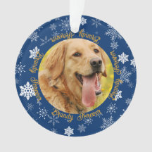 Hund 2 Foto Blue Snowflake Custom Weihnachten