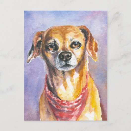 Hund 2 postkarte (Vorderseite)
