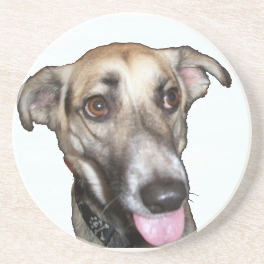 Hund 2 Untersetzer (Vorne)