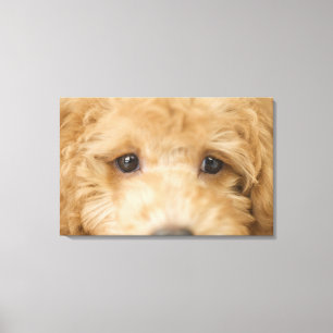 Hund 3 leinwanddruck