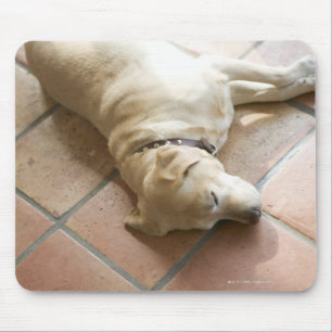 Hund 3 mousepad