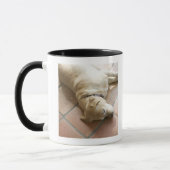Hund 3 tasse (Links)