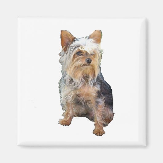 Hund 4 A Magnet (Vorne)