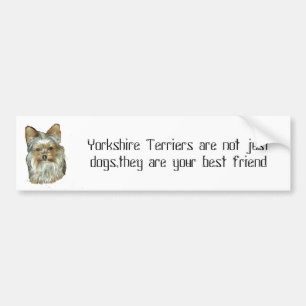 Hund 4, B, Yorkshire-Terrier-Autoaufkleber Autoaufkleber